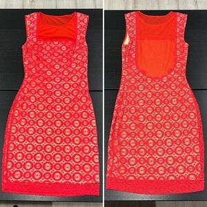 Bebe Red Lined Lace Bodycon Mini Dress with Mesh Inserts - XS